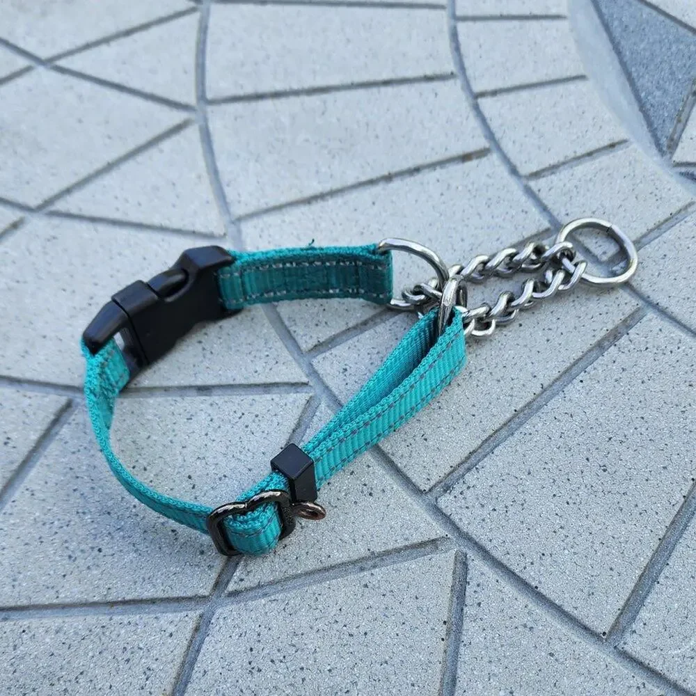 Max and Neo Stainless Steel Chain Reflective Nylon Martingale Collar
